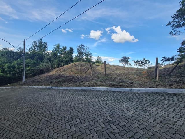 Image Property