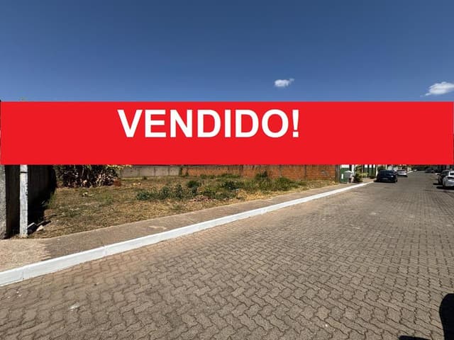 Image Property
